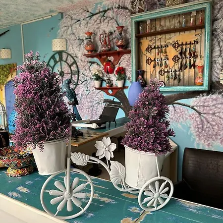 Mai̇ Bed & Breakfast