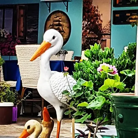 Bed & Breakfast Mai̇ 2*