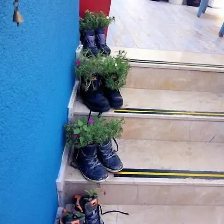 Bed & Breakfast Mai̇