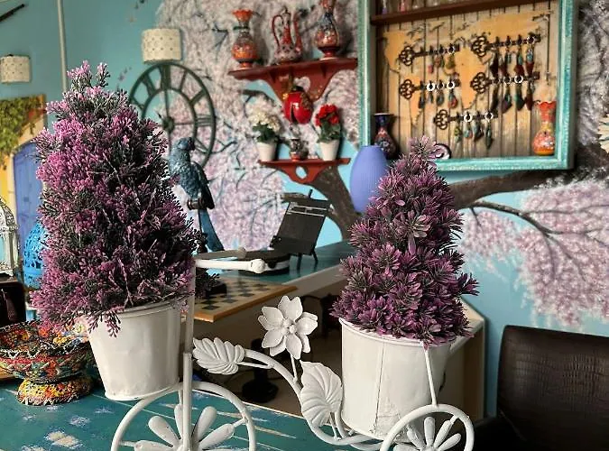 Mai̇ Alojamento de Acomodação e Pequeno-almoço