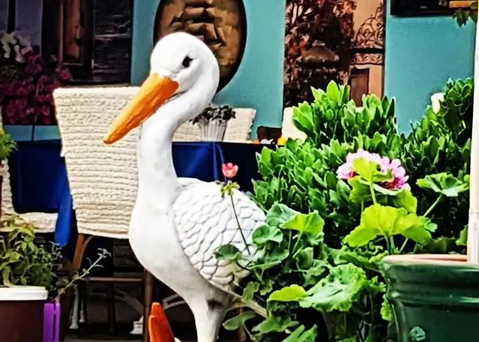 Alojamento de Acomodação e Pequeno-almoço Mai̇ 2*