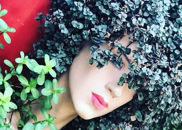 Alojamento de Acomodação e Pequeno-almoço Mai̇ Çeşme