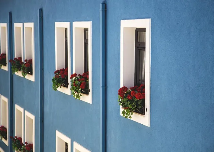 Alojamento de Acomodação e Pequeno-almoço Mai̇